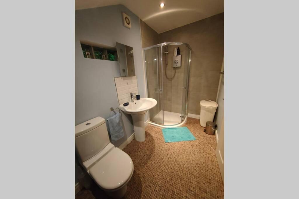 Bt 9 Granny Flat & Walled Garden Μπέλφαστ Εξωτερικό φωτογραφία